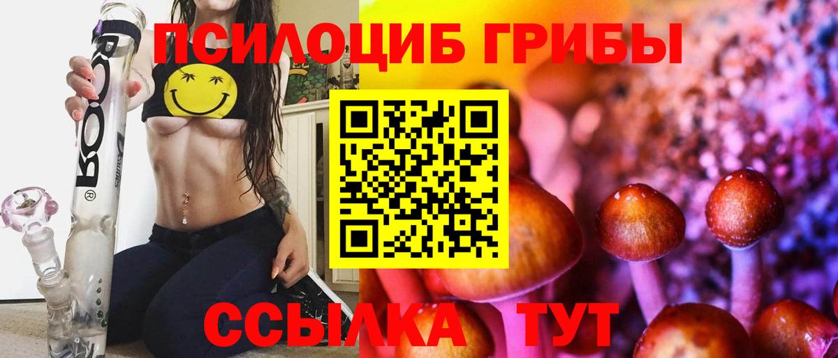 купить   Вход с VPN  Гусев  Псилоцибиновые грибы мицелий 